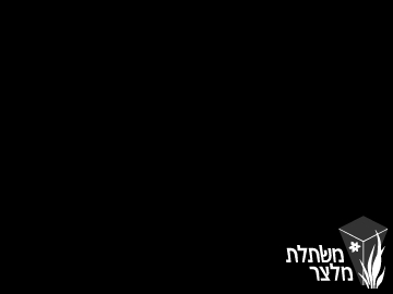 רונדלטיה - Rondeletia